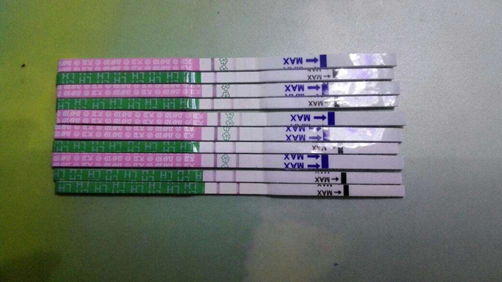 排卵試紙測早孕圖 (8) 