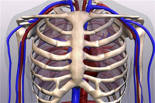 肋骨骨折的漫畫 