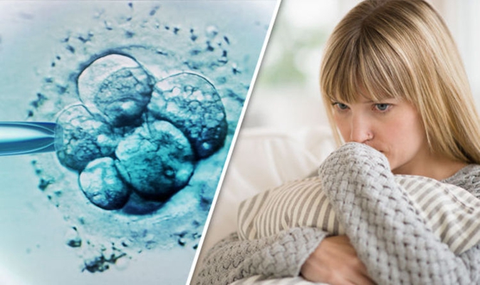 人工受完孕的過程 (8) 