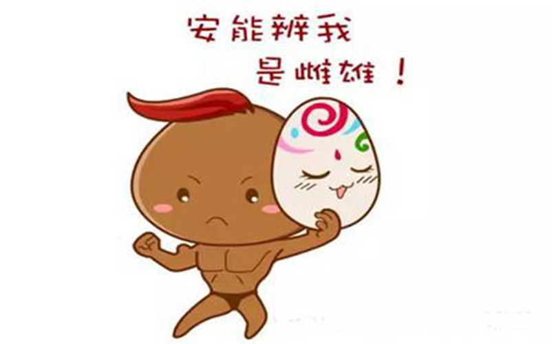 男性假兩性畸形的