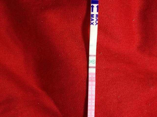 排卵試紙測早孕圖 (33) 