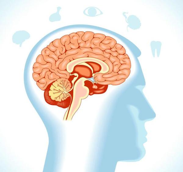 腦血管痙攣的位置漫畫 