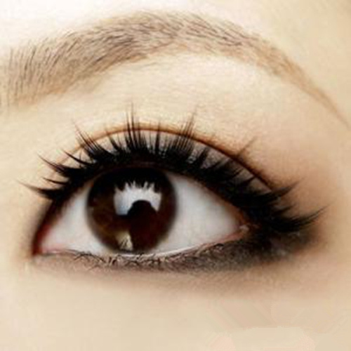 蛔蟲病症狀的眼睛 