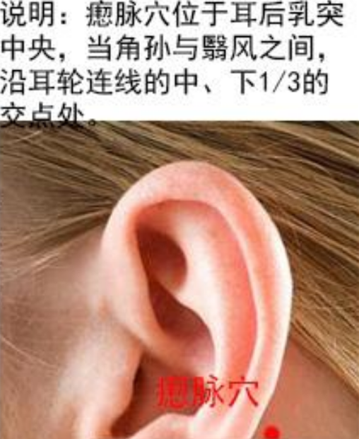 摁脈穴頭部穴位