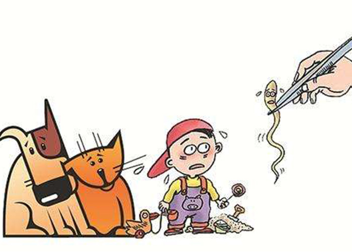 蛔蟲病症狀原因