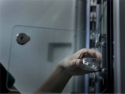 人工受完孕的過程 (48) 