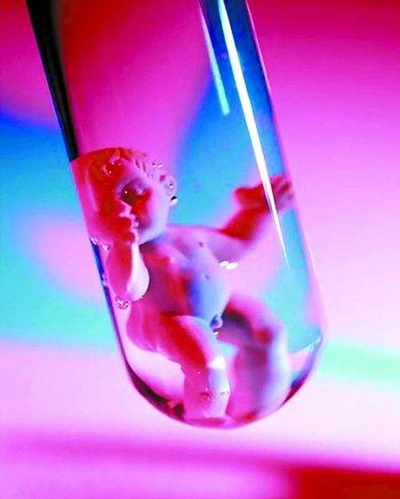 人工受完孕的過程 (50) 