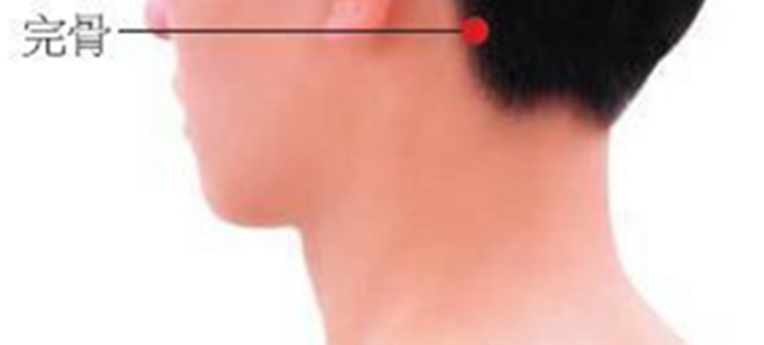 完骨穴頭部穴位