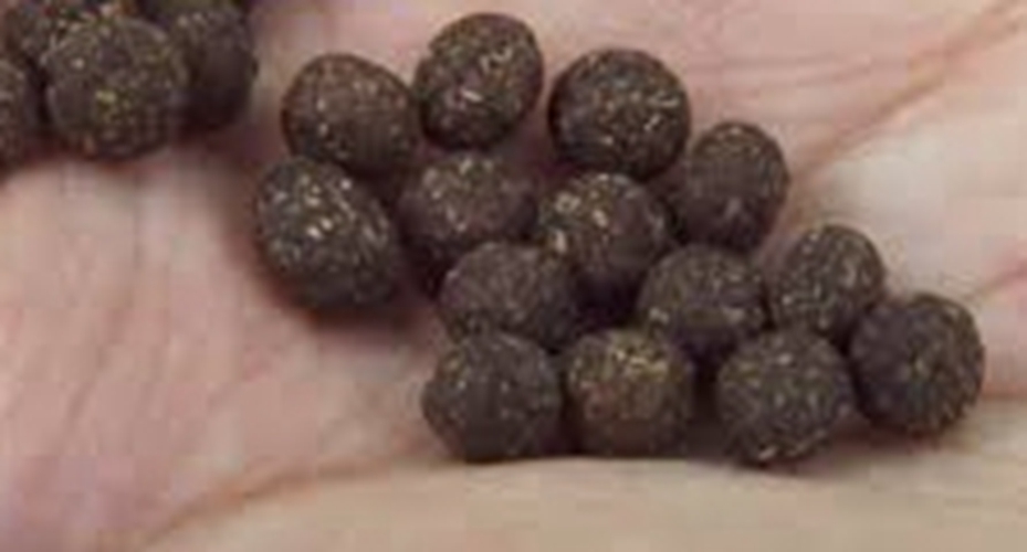 人胎盤做成食品