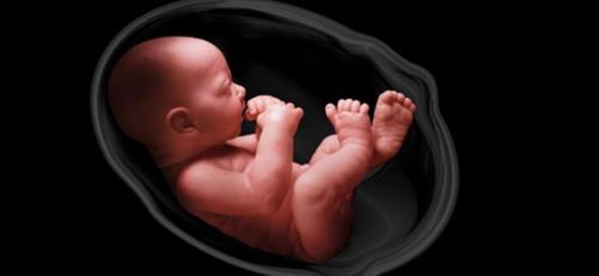 胎兒在肚子裡的姿勢 (43) 