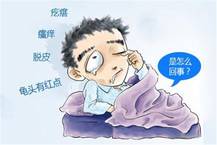 包皮龜頭炎卡通