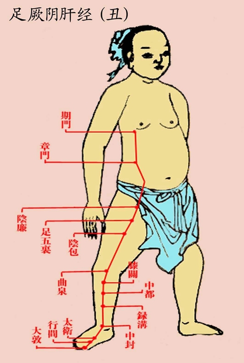 小腿穴位在哪些位置的