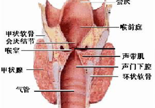 咽部淋巴癌的早期